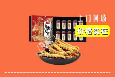 永泰县回收冬虫夏草